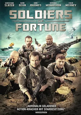 雇佣兵 Soldiers of Fortune (2012)