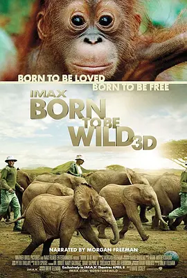 Born to Be Wild