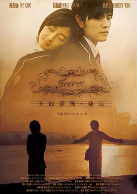 不能说的秘密 (2007)